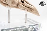 12-Parque-Jursico-III-Rplica-Prop-11-Velociraptor-Resonance-Chamber-18-cm.jpg