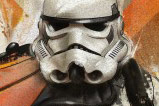 01-poster-de-metal-stormtroopers-starwars.jpg