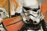 03-poster-de-metal-stormtroopers-starwars.jpg