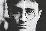 01-Poster-indeseable-Harry-Potter.jpg