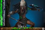 06-Prey-Figura-16-Feral-Predator-Battle-Damaged-Version-37-cm.jpg