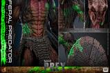 18-Prey-Figura-16-Feral-Predator-Battle-Damaged-Version-37-cm.jpg