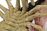 04-replica-aliens-facehugger.jpg