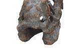 08-replica-craneo-tyrannosaurus-rex.jpg
