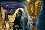02-Replica-de-la-Copa-de-Dumbledore.jpg