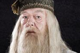 07-set-boligrafo-soporte-Albus-Dumbledore.jpg