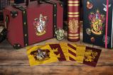 01-set-de-regalo-premium-gryffindor.jpg