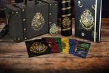 01-Set-de-Regalo-Premium-Hogwarts.jpg