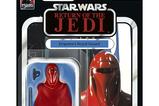 12-star-wars-episode-vi-40th-anniversary-black-series-figura-emperors-royal-guar.jpg