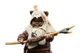 03-Star-Wars-Episode-VI-40th-Anniversary-Black-Series-Figura-Paploo-15-cm.jpg