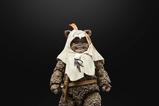 09-Star-Wars-Episode-VI-40th-Anniversary-Black-Series-Figura-Paploo-15-cm.jpg