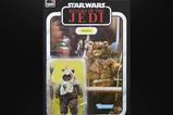 12-Star-Wars-Episode-VI-40th-Anniversary-Black-Series-Figura-Paploo-15-cm.jpg