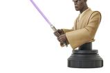 02-Star-Wars-The-Clone-Wars-Busto-17-Mace-Windu-15-cm.jpg