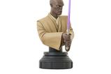 03-Star-Wars-The-Clone-Wars-Busto-17-Mace-Windu-15-cm.jpg