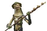 01-Star-Wars-The-Mandalorian-and-Grogu-Vintage-Collection-Figura-Amani-Guard-10-.jpg