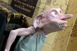 03-sujetalibros-dobby-elfo-harry-potter.jpg