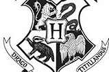 01-Taza-Escudo-Hogwarts-Harry-Potter-mug.jpg