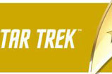 01-Taza-Star-Trek-Command-Gold.jpg