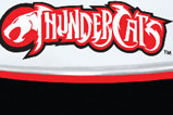 01-taza-thundercats-mug.jpg