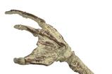 06-Universal-Monsters-Mini-Rplica-Fossilized-Creature-Hand-18-cm.jpg