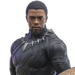 Como nuevo rey de Wakanda, T'Challa está luchando para hacer frente a la pérdida de su padre T'Chaka, pero está decidido a estar a la altura de su gran legado. Cuando Wakanda