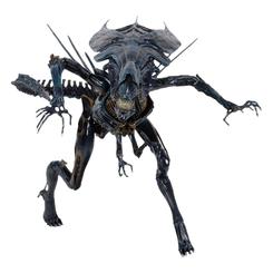 La figura Alien Queen Aliens 38 cm impone silencio antes incluso de colocarla en la vitrina. Su silueta abierta, la cola articulada y esa cabeza coronada convierten esta réplica de la reina xenomorfa en una pieza con presencia inmediata