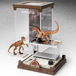 Figura oficial Velociraptor basada en la saga de Jurassic Park. Este figura está realizada en PVC y tiene unas medidas aproximadas de 11 x 19 cm. Producto oficial Jurassic Park Creature Velociraptor. 