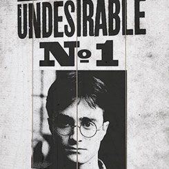 Póster realizado en madera de Harry Potter (Undesirable No1), el Póster tiene un tamaño aproximado de 40 x 60 cm., decora tu espacio preferido con un toque retro con este lienzo realizado en madera de Harry Potter.