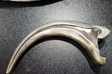 08-abrebotella-fossil-raptor-claw.jpg