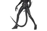 01-Alien-14-Figura-Big-Chap-56-cm.jpg