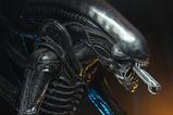 08-alien-14-figura-big-chap-56-cm.jpg