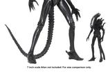 10-alien-14-figura-big-chap-56-cm.jpg