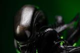 01-alien-estatua-110-art-scale-alien-big-chap-24-cm.jpg