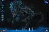12-Alien-Figura-16-Alien-Queen-53-cm.jpg
