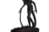 01-Alien-Film-Museum-Masterline-XL-Statue-13-Big-Chap-Xenomorph-Close-Up-Shot-.jpg
