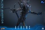 04-Alien-Movie-Masterpiece-Figura-16-Alien-Warrior-39-cm.jpg