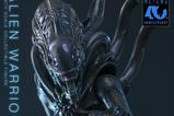 06-Alien-Movie-Masterpiece-Figura-16-Alien-Warrior-39-cm.jpg