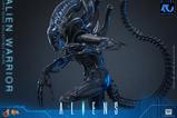 07-Alien-Movie-Masterpiece-Figura-16-Alien-Warrior-39-cm.jpg