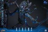 08-Alien-Movie-Masterpiece-Figura-16-Alien-Warrior-39-cm.jpg