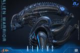 09-Alien-Movie-Masterpiece-Figura-16-Alien-Warrior-39-cm.jpg