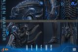 12-Alien-Movie-Masterpiece-Figura-16-Alien-Warrior-39-cm.jpg
