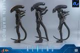 15-Alien-Movie-Masterpiece-Figura-16-Alien-Warrior-39-cm.jpg