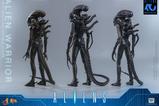 17-Alien-Movie-Masterpiece-Figura-16-Alien-Warrior-39-cm.jpg