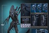 19-Alien-Movie-Masterpiece-Figura-16-Alien-Warrior-39-cm.jpg