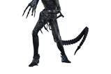 01-Alien-Movie-Masterpiece-Figura-16-Alien-Warrior-Deluxe-Version-39-cm.jpg