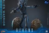 05-Alien-Movie-Masterpiece-Figura-16-Alien-Warrior-Deluxe-Version-39-cm.jpg