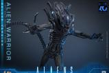 07-Alien-Movie-Masterpiece-Figura-16-Alien-Warrior-Deluxe-Version-39-cm.jpg