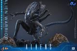 08-Alien-Movie-Masterpiece-Figura-16-Alien-Warrior-Deluxe-Version-39-cm.jpg