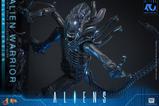 09-Alien-Movie-Masterpiece-Figura-16-Alien-Warrior-Deluxe-Version-39-cm.jpg
