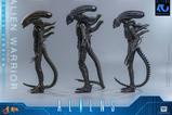 12-Alien-Movie-Masterpiece-Figura-16-Alien-Warrior-Deluxe-Version-39-cm.jpg